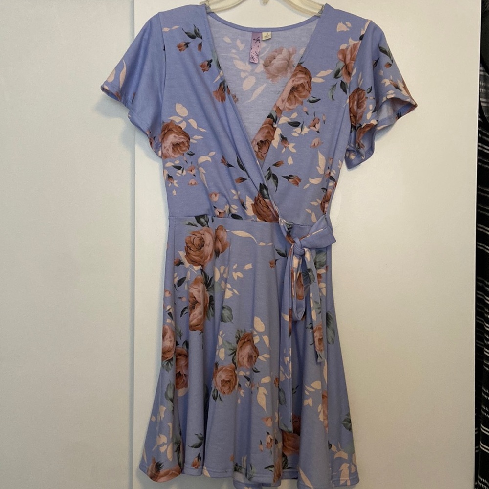 Francesca’s Mini Dress